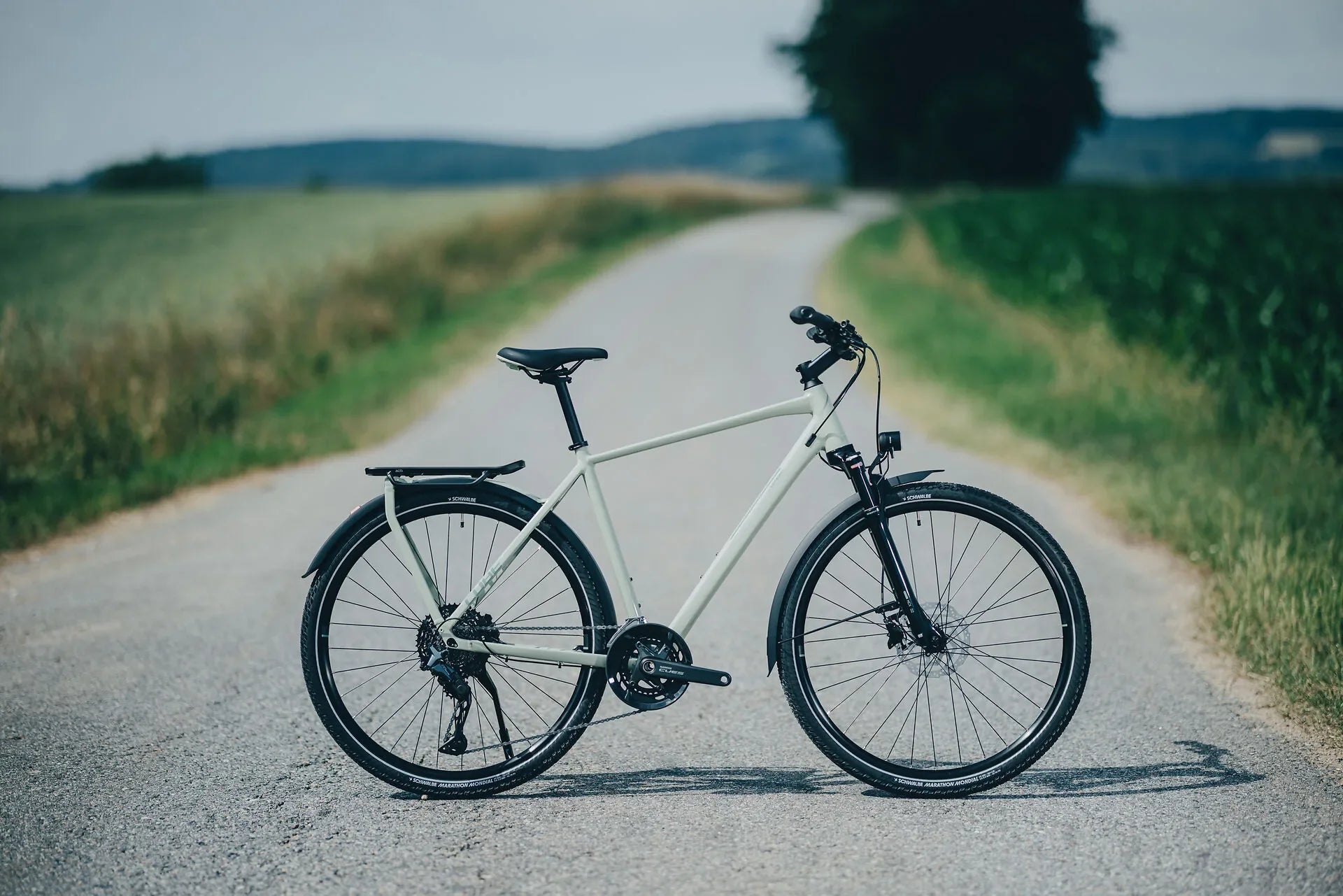 e bike nabenschaltung damen Raymon Metmo Rücktritt - 600 Wh - 2025 - 27,5 Zoll - Tiefeinsteiger Kita Paket Wachsmaden (Wachsmottenlarven/ Bienenmaden) Größe:Einheitsgröße