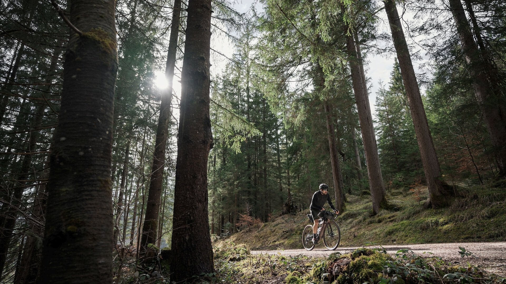 Radfahrer im Wald der mit einem Gravelbike auf einem Schotterweg fährt.