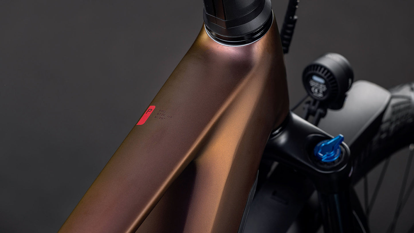 Produktbild: Cube Kathmandu Hybrid Pro 800 sunglow´n´chrome, Detailaufnahme 01