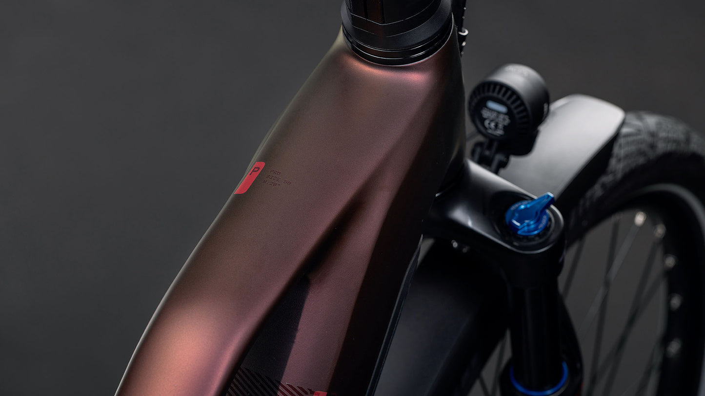 Produktbild: Cube Kathmandu Hybrid Pro 800 sunglow´n´chrome, Detailaufnahme 01
