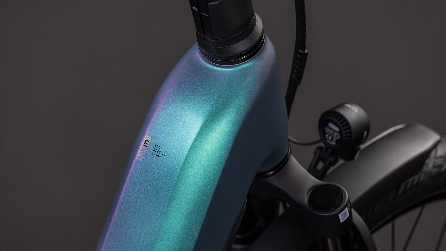 Produktbild: Cube Kathmandu Hybrid EXC 800 smaragdgrey´n´prism, Detailaufnahme 01