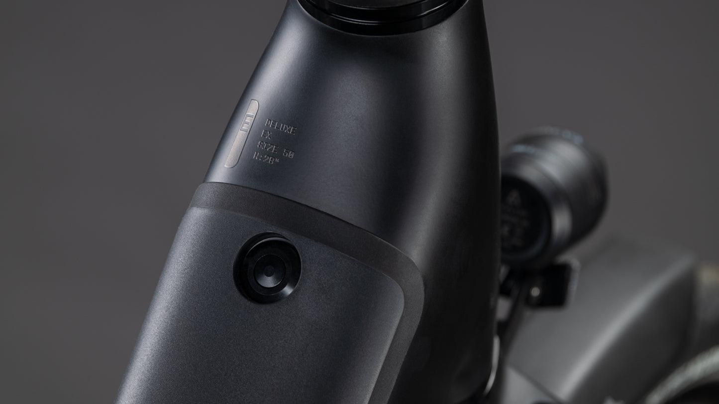 Produktbild: Cube Supreme RT Hybrid Deluxe EX 600 black´n´chrome, Detailaufnahme 01