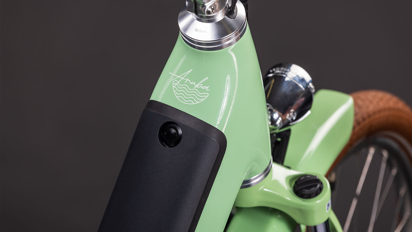 Produktbild: Cube Aruba Hybrid 600 cactus´n´brown, Detailaufnahme 01