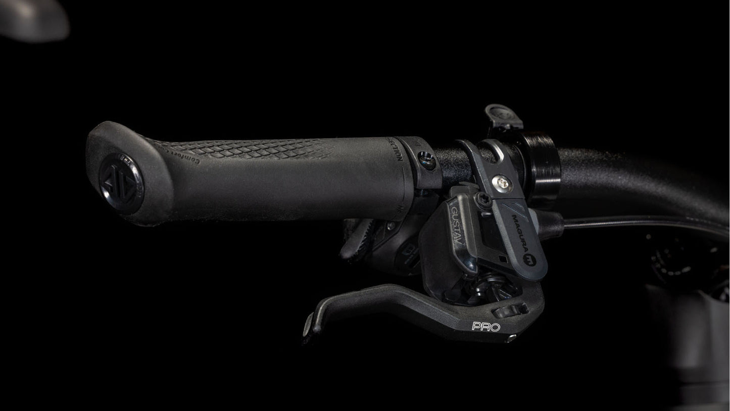 Cube Kathmandu Hybrid SLT 800 golddust´n´black 2025