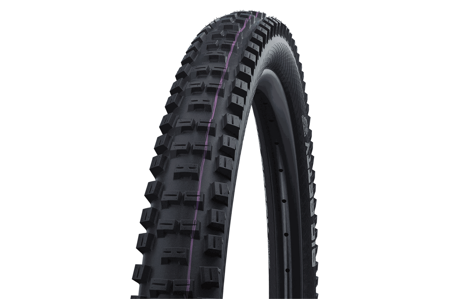 SCHWALBE Reifen BIG BETTY Evo, Super Downhill, TLE
