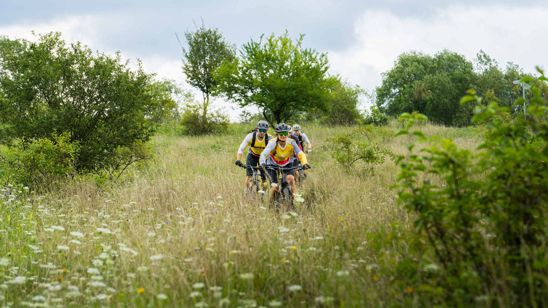 Zwei Mountainbiker fahren auf CUBE Mountainbikes durch eine blühende Wiese