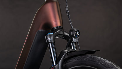 Produktbild: Cube Kathmandu Hybrid Pro 800 sunglow´n´chrome, Detailaufnahme 05