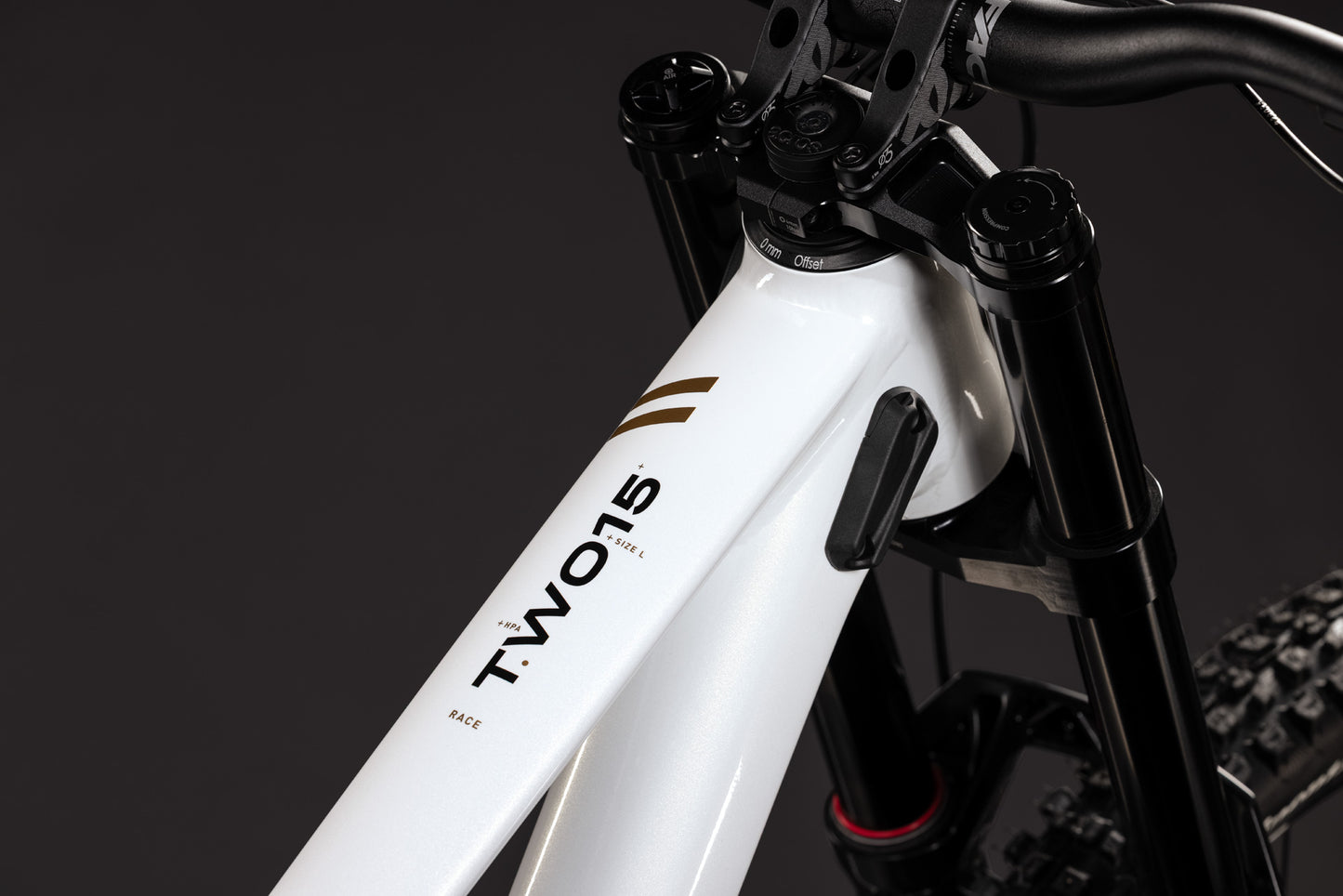 Cube TWO15 Race powdergold´n´black 2027