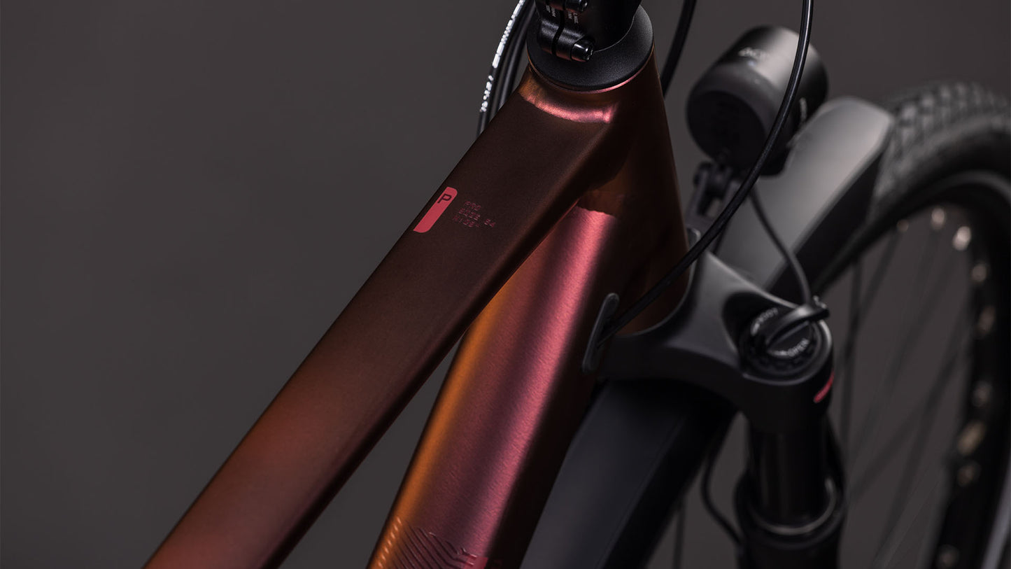 Produktbild: Cube Kathmandu Pro sunglow´n´prizm, Detailaufnahme 01