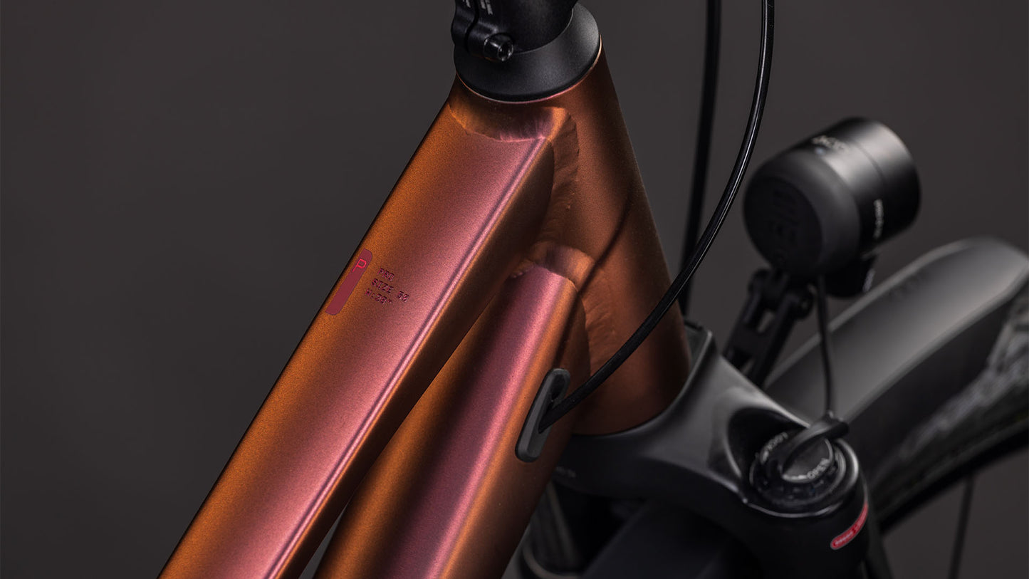 Produktbild: Cube Kathmandu Pro sunglow´n´prizm, Detailaufnahme 01