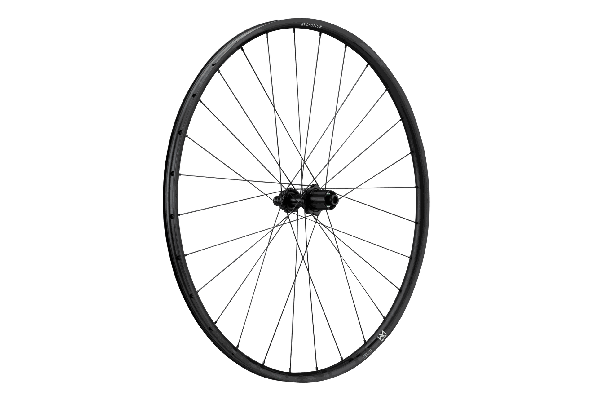 NEWMEN Wheel Evolution SL X.R.25 29" 28h Fade R SP CL 12x142 SH