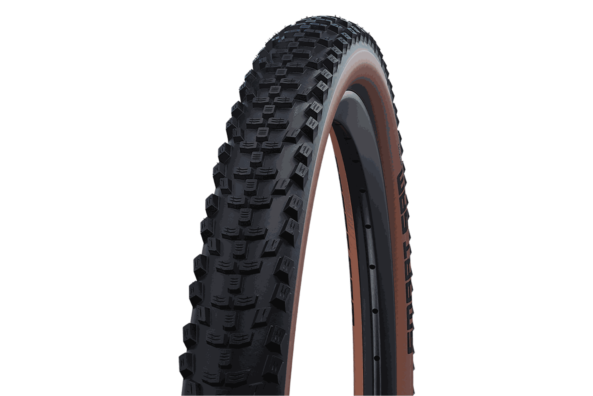 SCHWALBE Reifen SMART SAM Perf, DD, RaceGuard in Standard