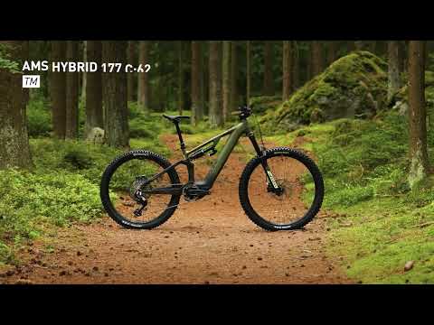 Cube AMS Hybrid 177 C:62 TM 600X reedgreen´n´gills 2027