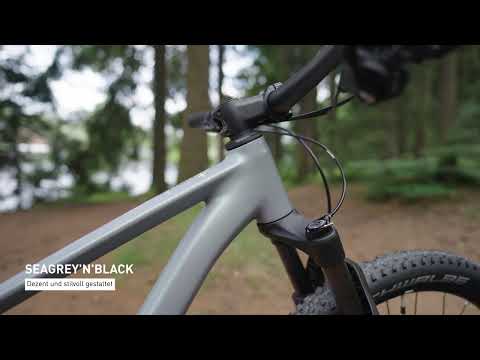 Cube Reaction SLX seagrey´n´black 2027