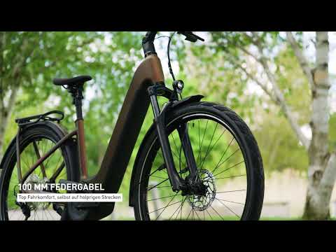 Videovorstellung des CUBE Kathmandu Hybrid Pro 800 2026

